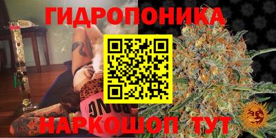 прущая мука Кулебаки