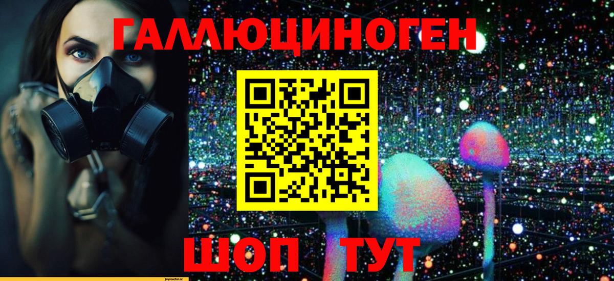 Галлюциногенные грибы мицелий  Вход с VPN  Елизово 