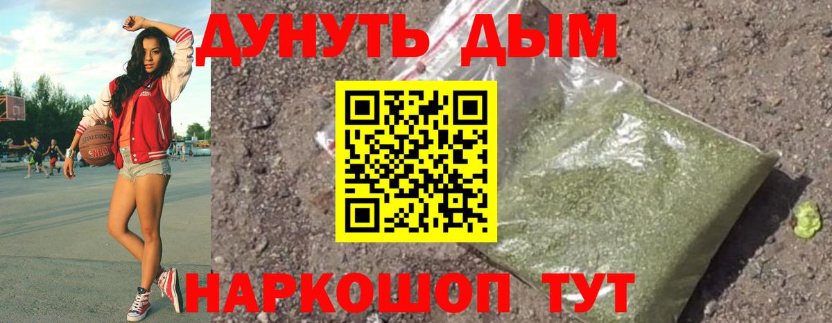 Конопля план  Каннабис White Widow  Елизово  Вход с VPN 